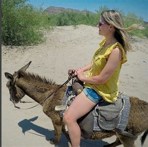 sex donkey with women|Hot female loudly fucked by a donkey in outdoor kinks .